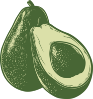 Avocado clipart design illustration png