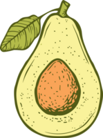 avocado clipart design illustrazione png