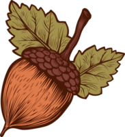 Acorn clipart design illustration png