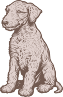 Bedlington terrier clipart design illustration png
