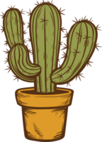 kaktus clipart design illustration png