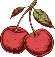 Cereza clipart diseño ilustración png