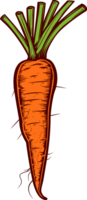 Carrot clipart design illustration png