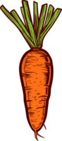 Carrot clipart design illustration png