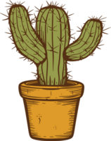 Cactus clipart design illustration png