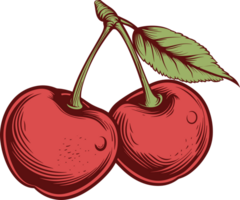 Cherry clipart design illustration png