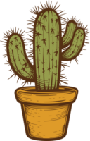 Ilustración de diseño de imágenes prediseñadas de cactus png