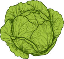 Cabbage clipart design illustration png