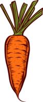 Carrot clipart design illustration png