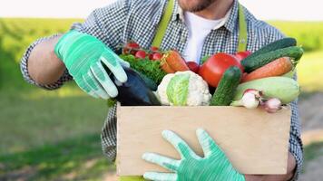 Happy farmer holding basket with fresh harvested vegetables and smiling in camera on countryside field. Concept. biological, bio products, bio ecology, vegetarian and vegan video