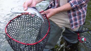 Man holds fish that was just caught in river and puts it in the fishnet. Fly fishing video