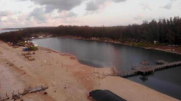 aérien vue le Lac à côté de forêt video