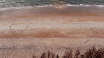 top aerial view of waves crashing on the beach video