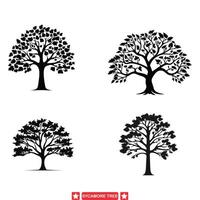 majestuoso sicomoro árbol siluetas colección para naturaleza entusiastas vector