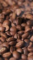 Vertical slow motion of roasted coffee beans falling. Organic coffee seeds. video