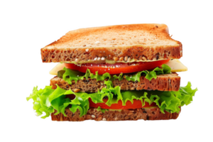 Close Up of a Sandwich With Lettuce and Tomatoes png