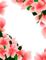 floral marco frontera clipart png