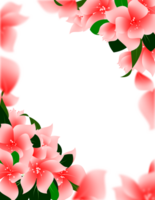 Floral frame border clipart png