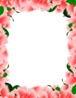 pink flower petals background, summer frame border png