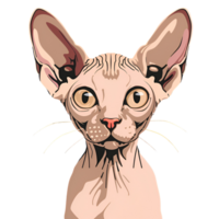 Cute Cartoon Style Sphynx cat Logo Illustration No Background Applicable to Any Context Perfect for Print on Demand Merchandise png