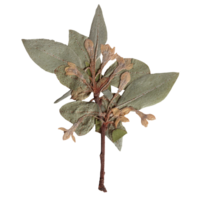 Isolated Pressed and Dried Green Branch with Flowers. Aesthetic scrapbooking Dry plants png