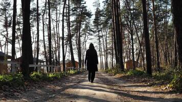 A person walks in the woods on a path in a pine forest. Young woman, girl in black clothes resting in autumn on the nature between the trees in slow motion video