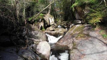 Wasserfall im das Berg Wald Antenne Aussicht video