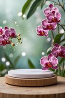 white Platform and podium background on nature and orchid for product stand display advertising cosmetic beauty products or skincare with empty round stage photo