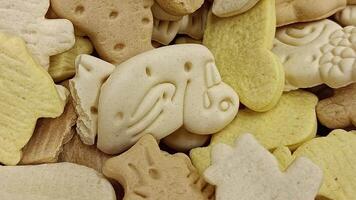 chien des biscuits Contexte video