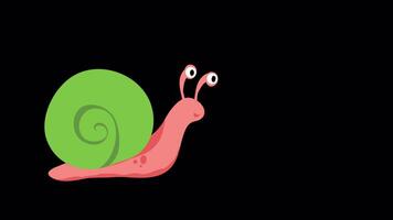 Garden Snail Crawling 2D Animation On Alpha Channel 2D Animation video