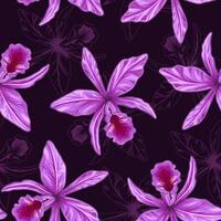 Seamless pattern with Cattleya Orchid flower on dark background. Silhouette of orchidea behind. vector