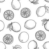 Hand drawn monochrome seamless pattern with etching lemon, leaves in sketch style. black and white repeat backdrop vector