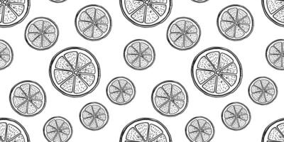 Hand drawn monochrome seamless pattern with etching lemon piece vector