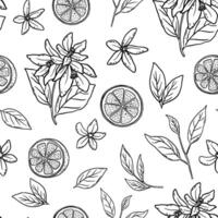 Hand drawn monochrome seamless pattern with etching lemon, leaves and flower in sketch style. black and white repeat backdrop vector