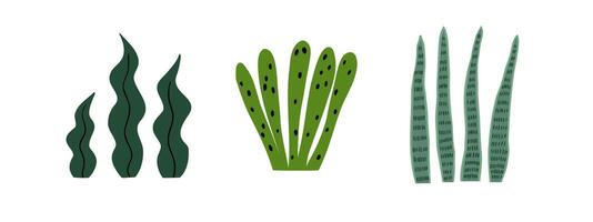 Set of doodle tropical plants of different shapes. Jungle, forest, nature. Hand drawn illustration in flat style. vector