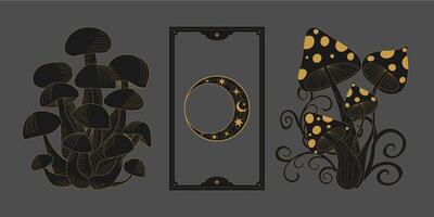 mystic celestial set a with golden outline mushrooms, fly agaric, penny bun, crescents and moon phases. Black occult shiny linear labels with a magical frame stylized as engraving vector