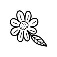 Single element flower in doodle style. Stock summer isolated image on a white background. Botanical clipart. vector