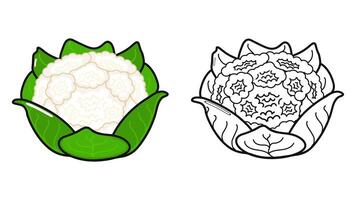 Funny cute happy Cauliflower characters bundle set. Hand drawn cartoon kawaii character illustration icon. Cute Cabbage. Outline cartoon illustration for coloring book vector