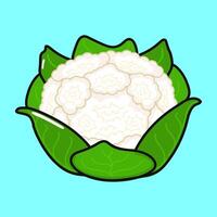 Cauliflower character. Hand drawn cartoon kawaii character illustration icon. Isolated on blue background. Cabbage character concept vector