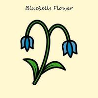 Bluebells Flower Illustration vector