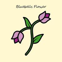 Bluebells Flower Illustration vector