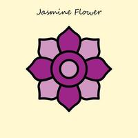 Jasmine Flower Illustration vector