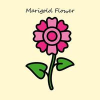 Marigold Flower Illustration vector