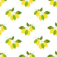Lemones branch pattern with yellow fruits citrus, hand drawn sketch no contour, white background. vector