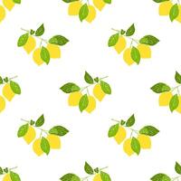 Lemones branch pattern with yellow fruits citrus, hand drawn sketch no contour, white background. vector