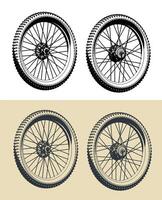 Front and rear wheels of a bicycle vector