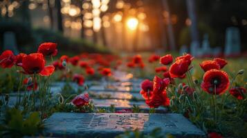 campo de rojo flores siguiente a cementerio foto