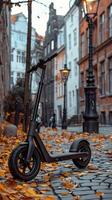 Scooter Parked on Path in Woods photo