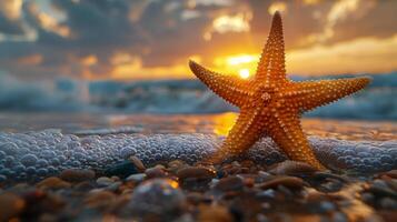 estrella de mar en arenoso playa foto