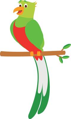 Cute cartoon quetzal illustration